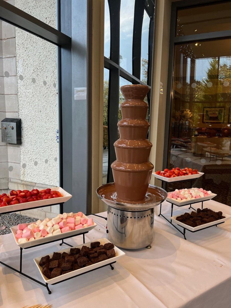 Professional five-tier milk chocolate fountain with strawberries, marshmallows, and brownie bites by venue windows